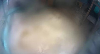 Еноты